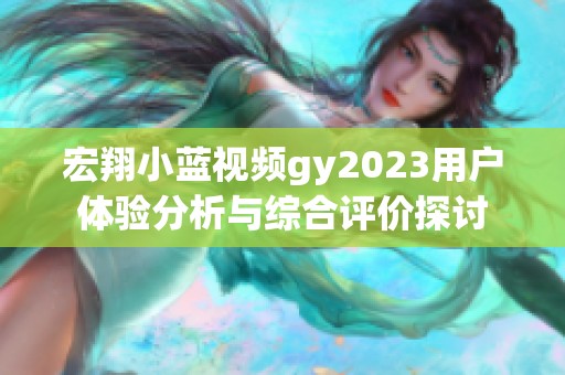 宏翔小蓝视频gy2023用户体验分析与综合评价探讨
