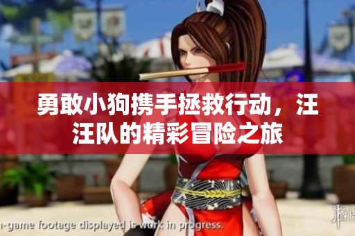 勇敢小狗携手拯救行动，汪汪队的精彩冒险之旅