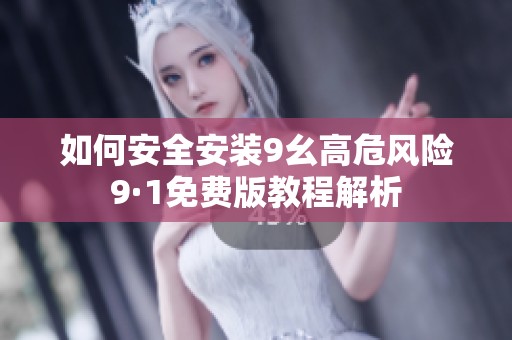 如何安全安装9幺高危风险9·1免费版教程解析