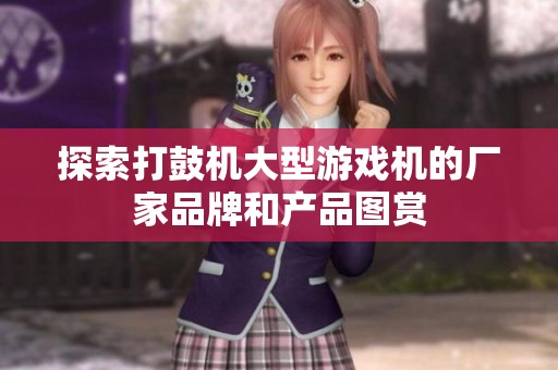 探索打鼓机大型游戏机的厂家品牌和产品图赏