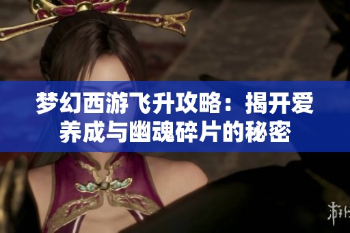 梦幻西游飞升攻略：揭开爱养成与幽魂碎片的秘密