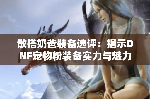 散搭奶爸装备选评：揭示DNF宠物粉装备实力与魅力