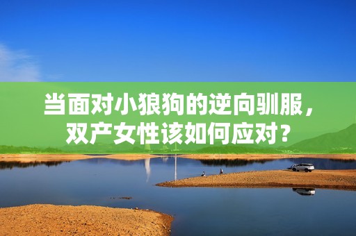 当面对小狼狗的逆向驯服，双产女性该如何应对？