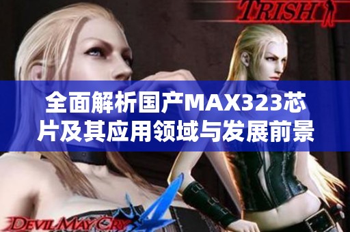全面解析国产MAX323芯片及其应用领域与发展前景