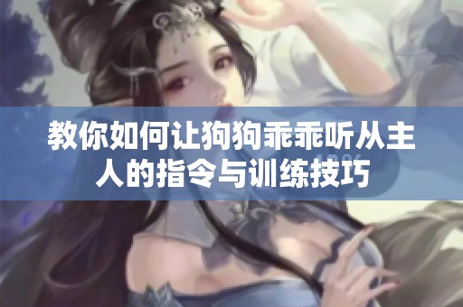 教你如何让狗狗乖乖听从主人的指令与训练技巧