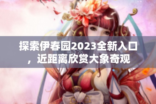 探索伊春园2023全新入口，近距离欣赏大象奇观