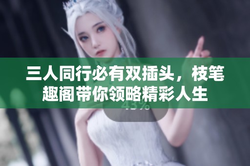 三人同行必有双插头，枝笔趣阁带你领略精彩人生