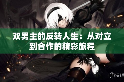 双男主的反转人生：从对立到合作的精彩旅程